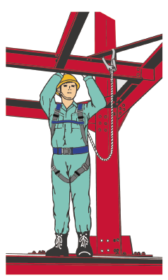 フルハーネス型